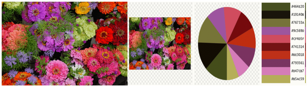 My pixabay image and the colors that were detected from the photo. 