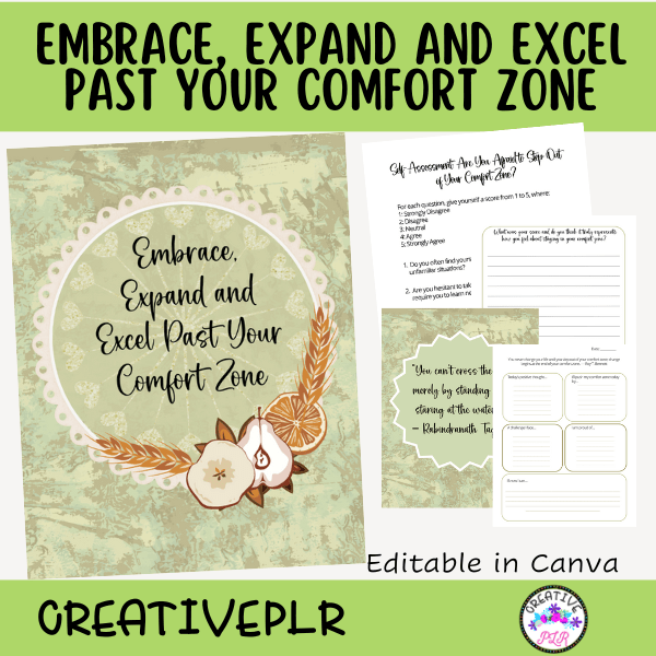 embrace, expand and excel past your comfort zone